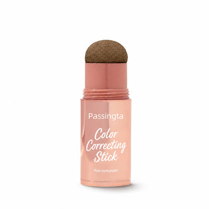 Passingta dab & go hair concealer